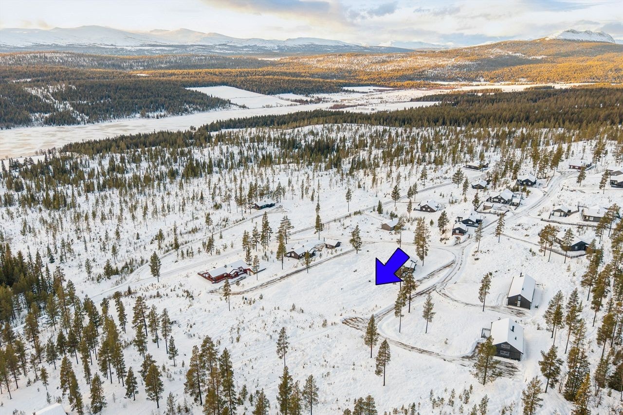 Velkommen til Tiurlitoppen 11! Fotograf: Håkon Rybakken v/Efkt Norge AS Galleribilde