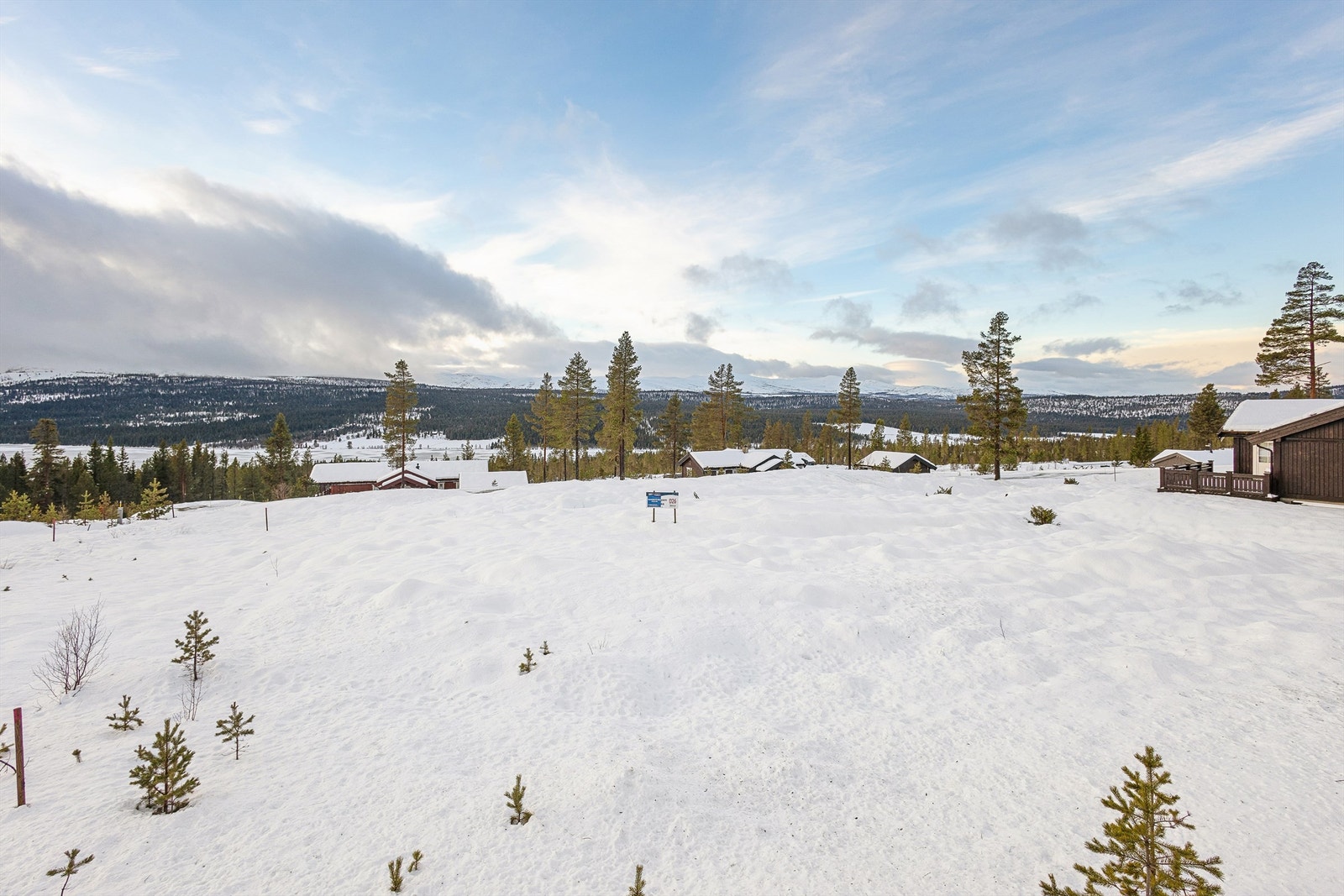 Plasseringen i terrenget gir gode solforhold og en åpen følelse. Galleribilde