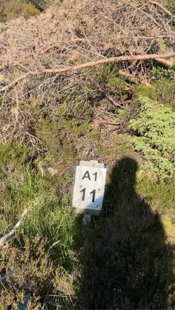 thumbnail_IMG-0597.jpg Galleribilde