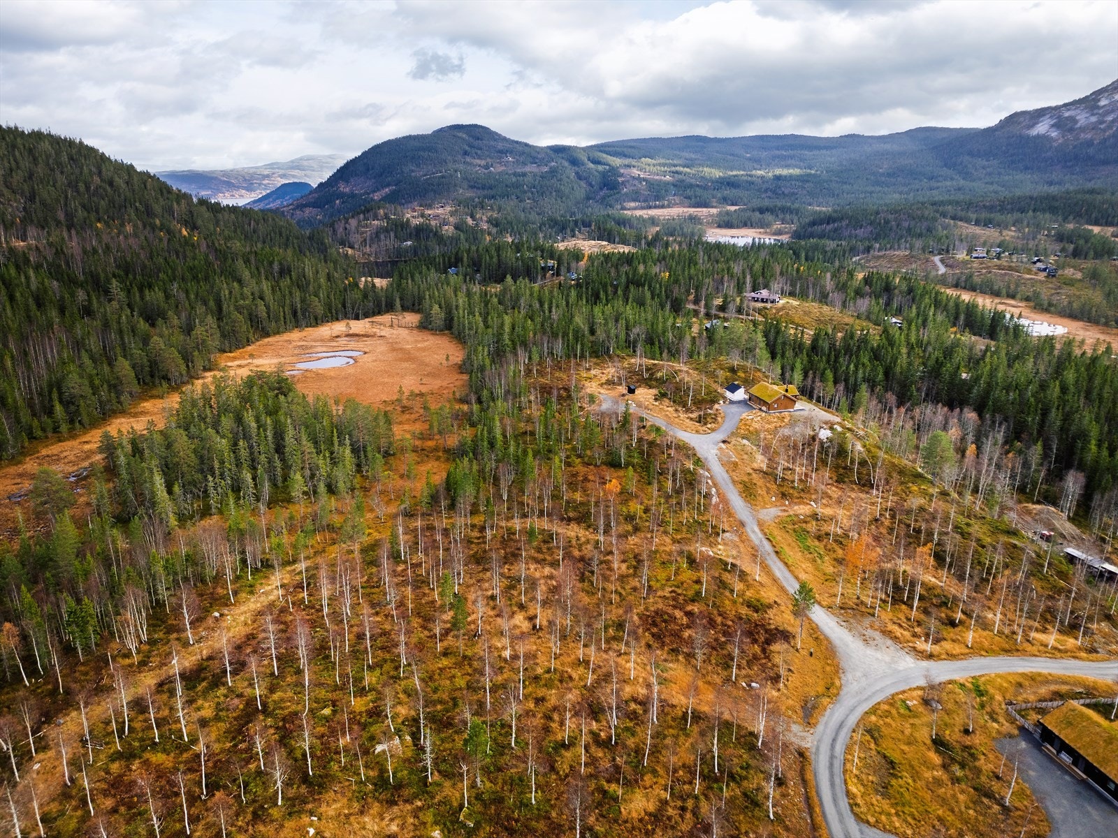 Her har du muligheten til å realisere hyttedrømmen på en tomt plassert høyt og fritt i terrenget. Galleribilde