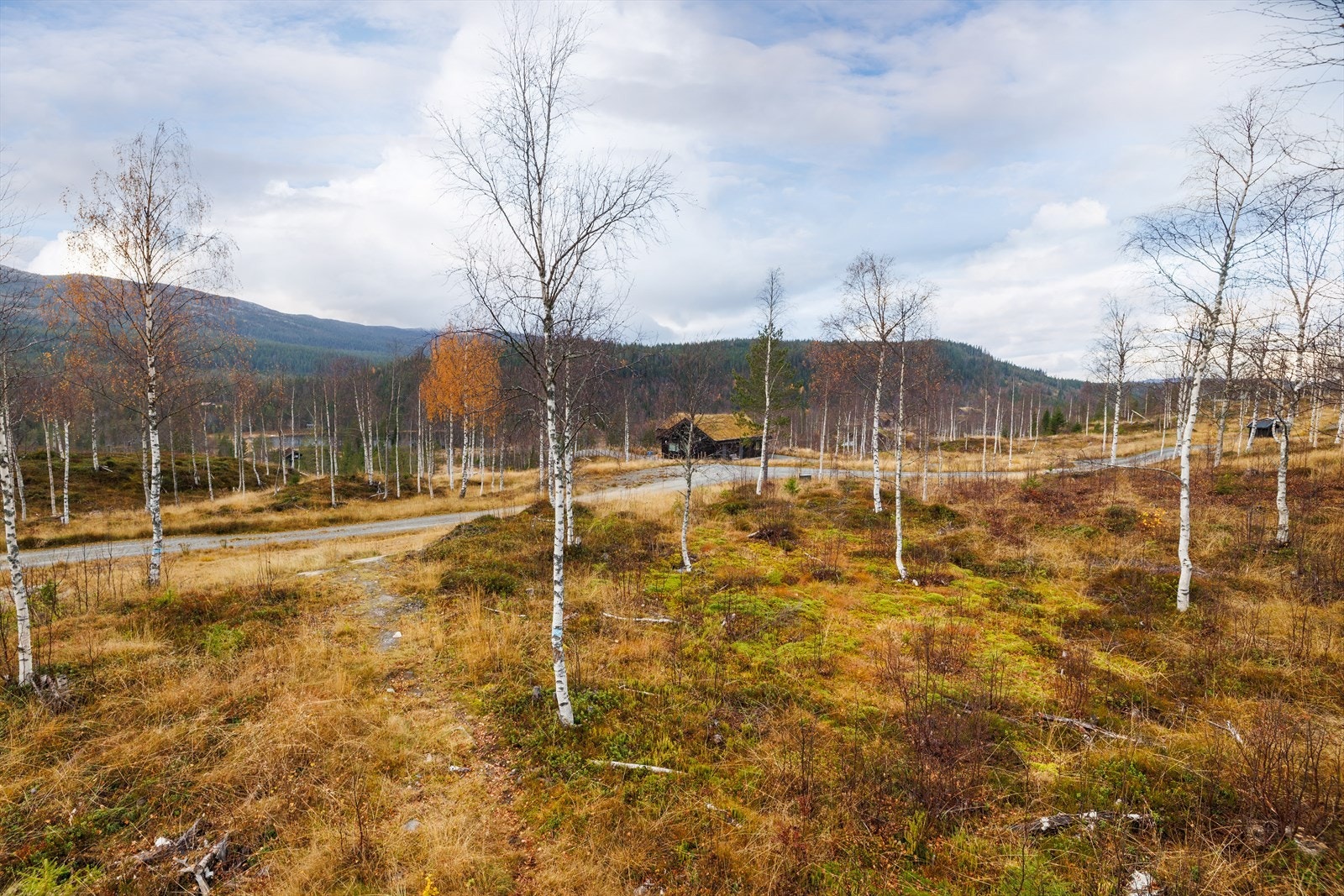 Den åpne plasseringen i terrenget gir gode sol- og lysforhold. Galleribilde