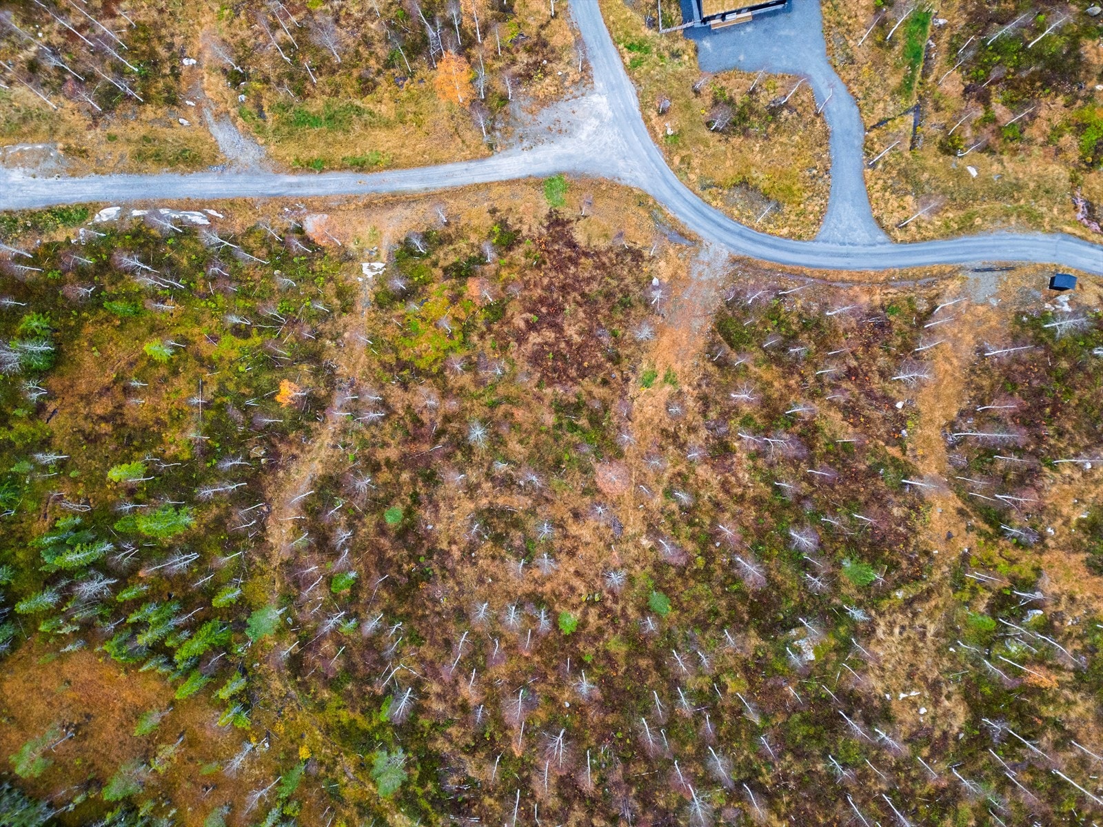 Tomten sett fra oven, som viser plassering i terrenget og spredt vegetasjon. Galleribilde