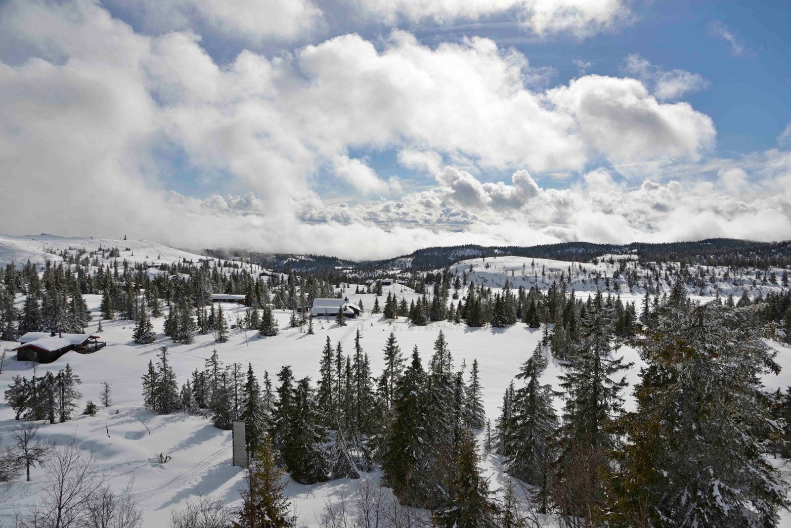 Bilde fra selgers arkiv. Påske 2015 Galleribilde