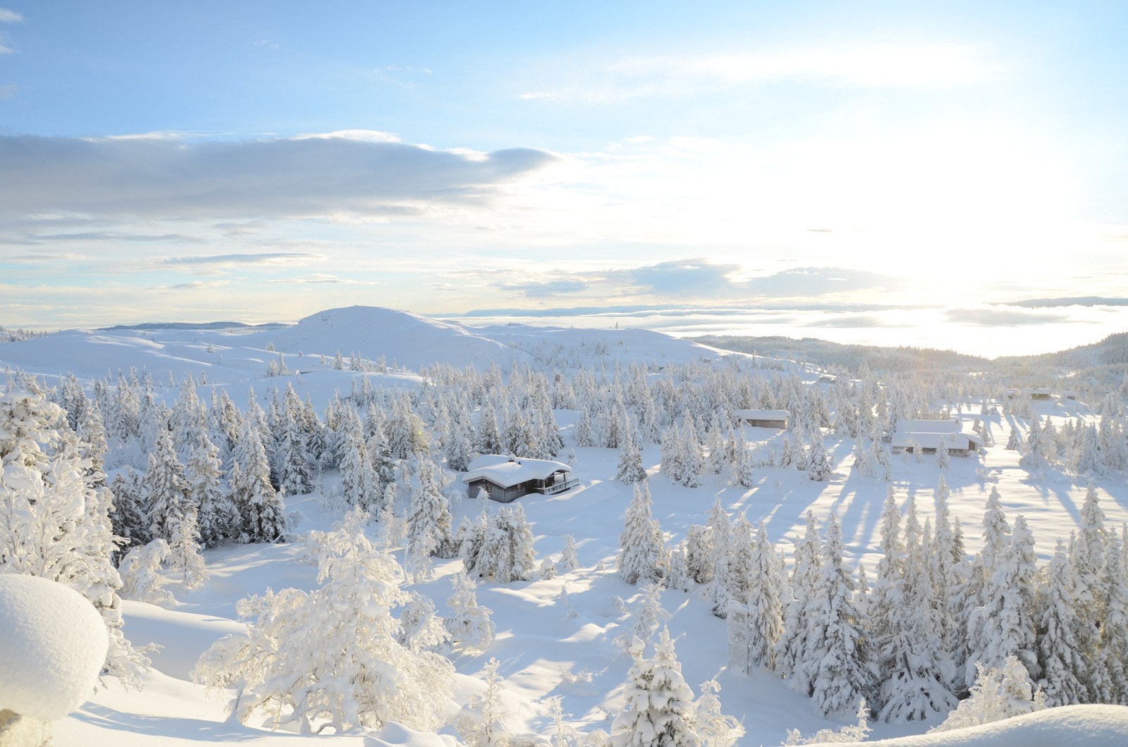Bilde fra selgers arkiv Galleribilde