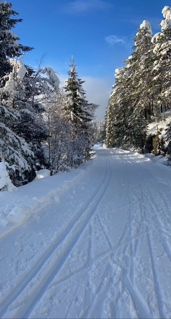 Verdal skianlegg- Bilde tatt av selger Galleribilde