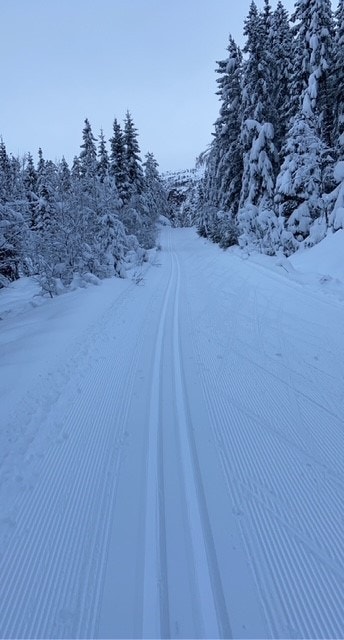 Verdal skianlegg- Bilde tatt av selger Galleribilde