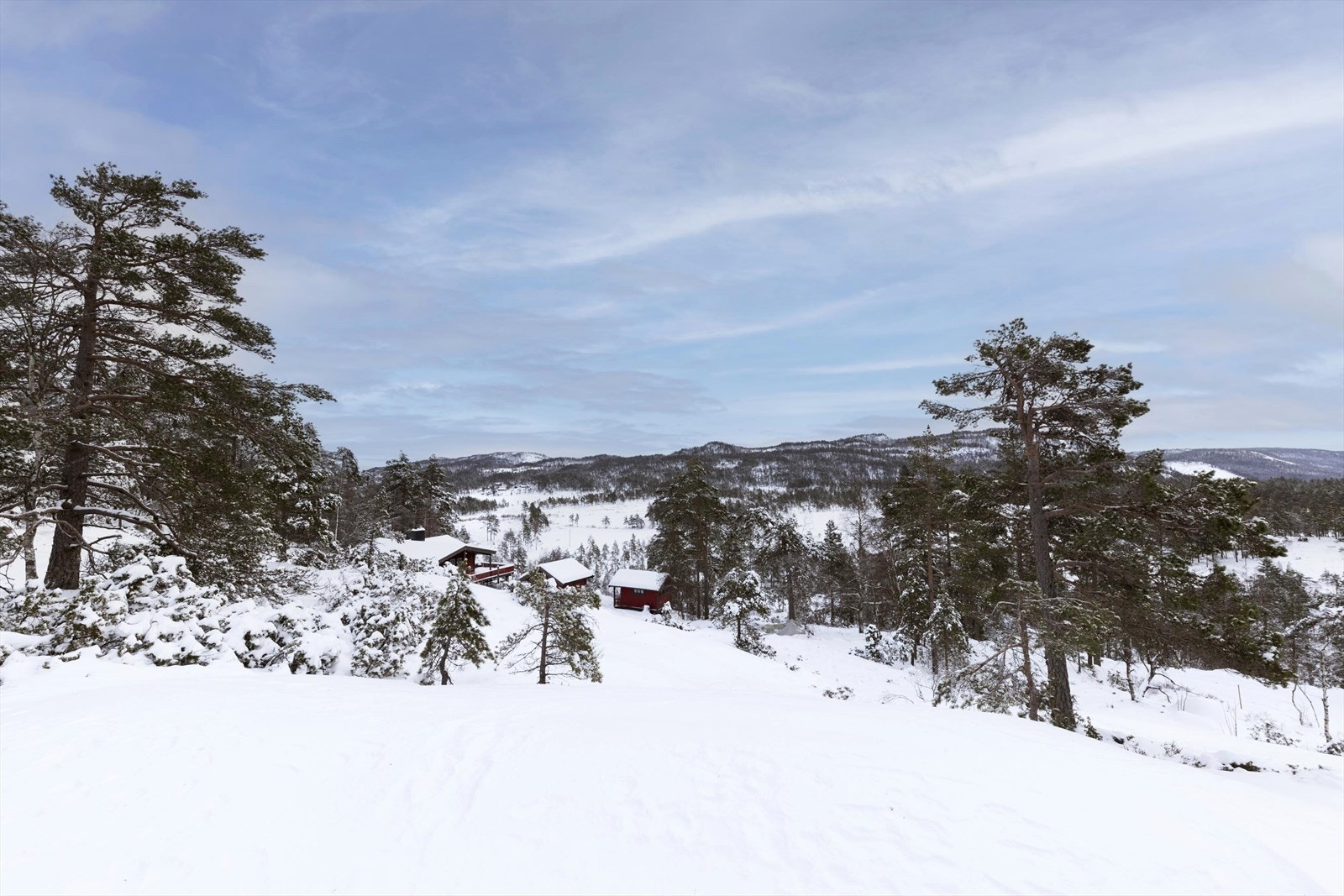 Området er stille og rolig, noe som gjør det godt egnet for rekreasjon og avkobling fra hverdagen. Galleribilde