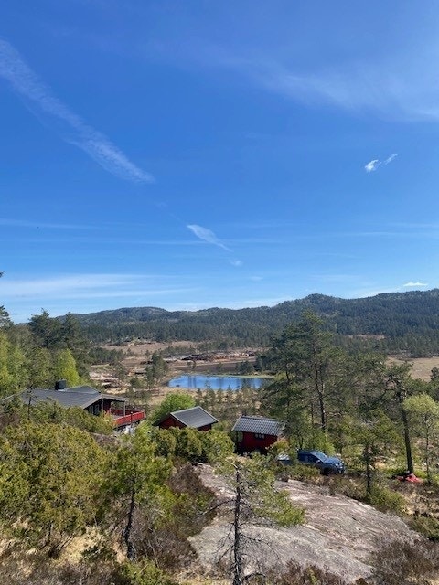 Kvåle - Bilde tatt av selger Galleribilde