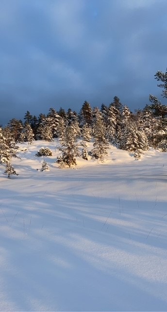 Verdal skianlegg- Bilde tatt av selger Galleribilde
