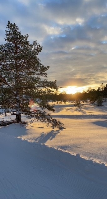 Verdal skianlegg- Bilde tatt av selger Galleribilde