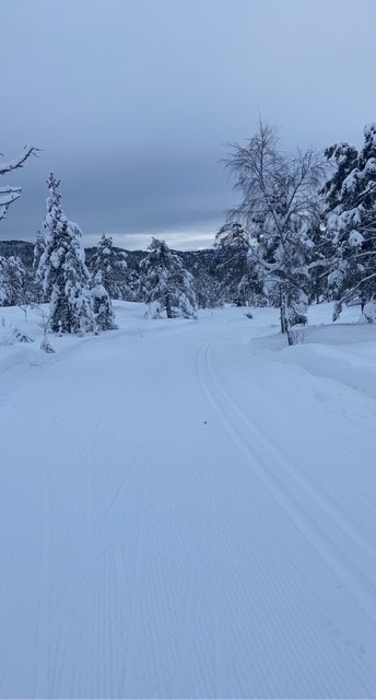 Verdal skianlegg- Bilde tatt av selger Galleribilde