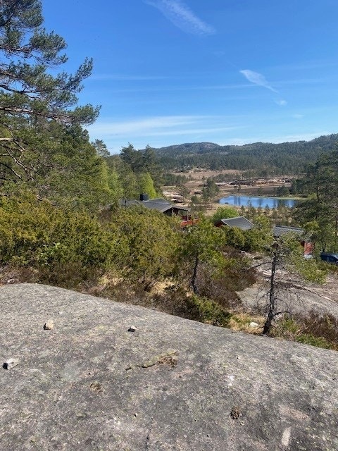 Kvåle - Bilde tatt av selger Galleribilde