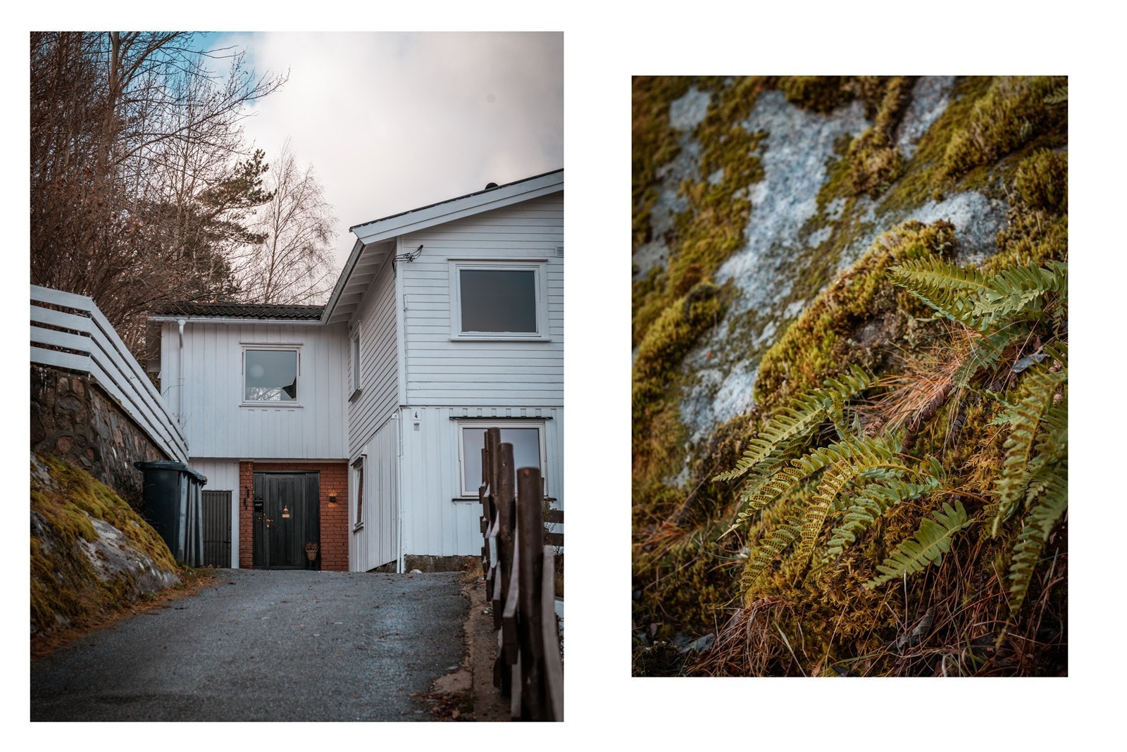 Velkommen! Galleribilde