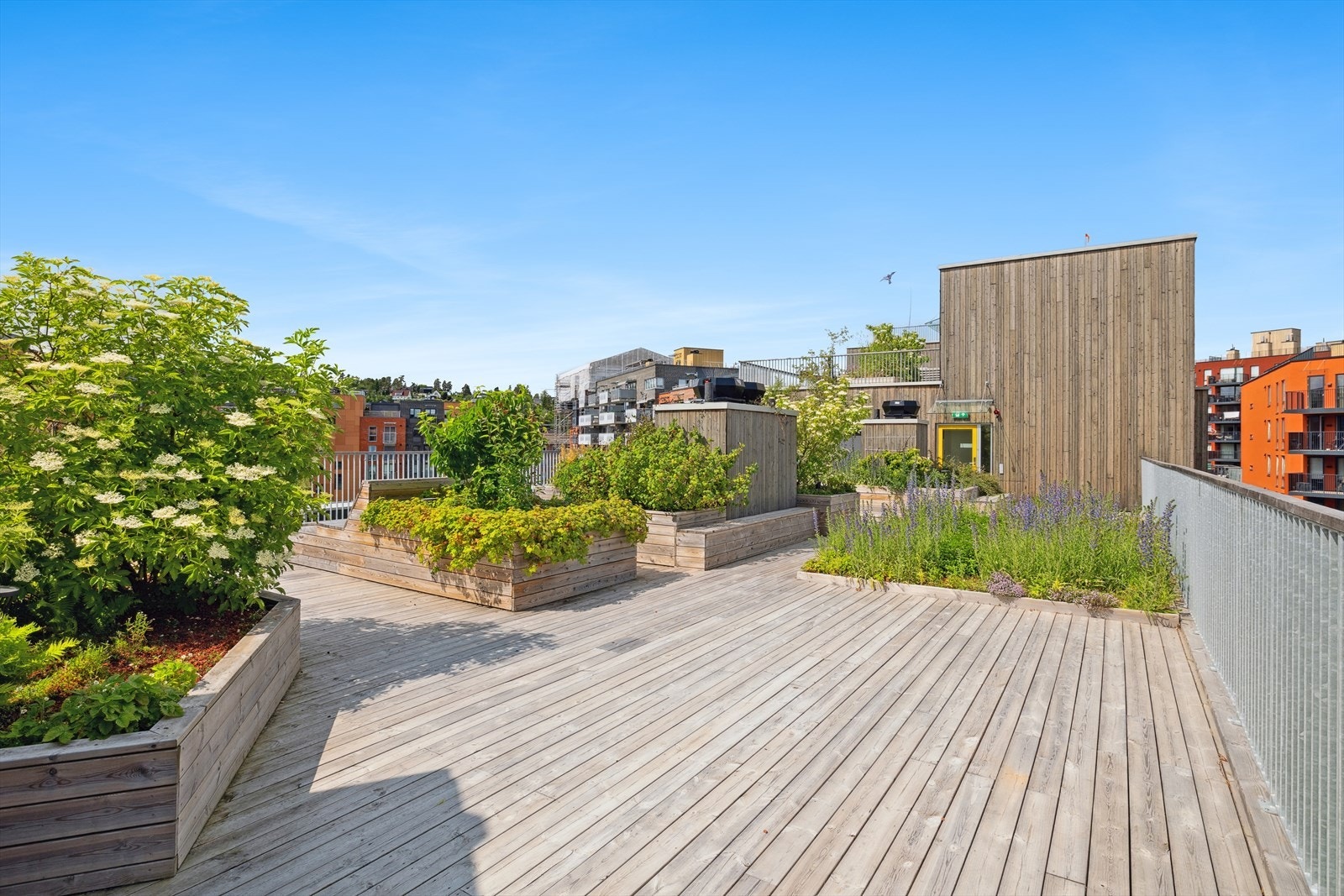 I samme etasje som leiligheten ligger i har sameiet en attraktiv, felles takterrasse. Galleribilde