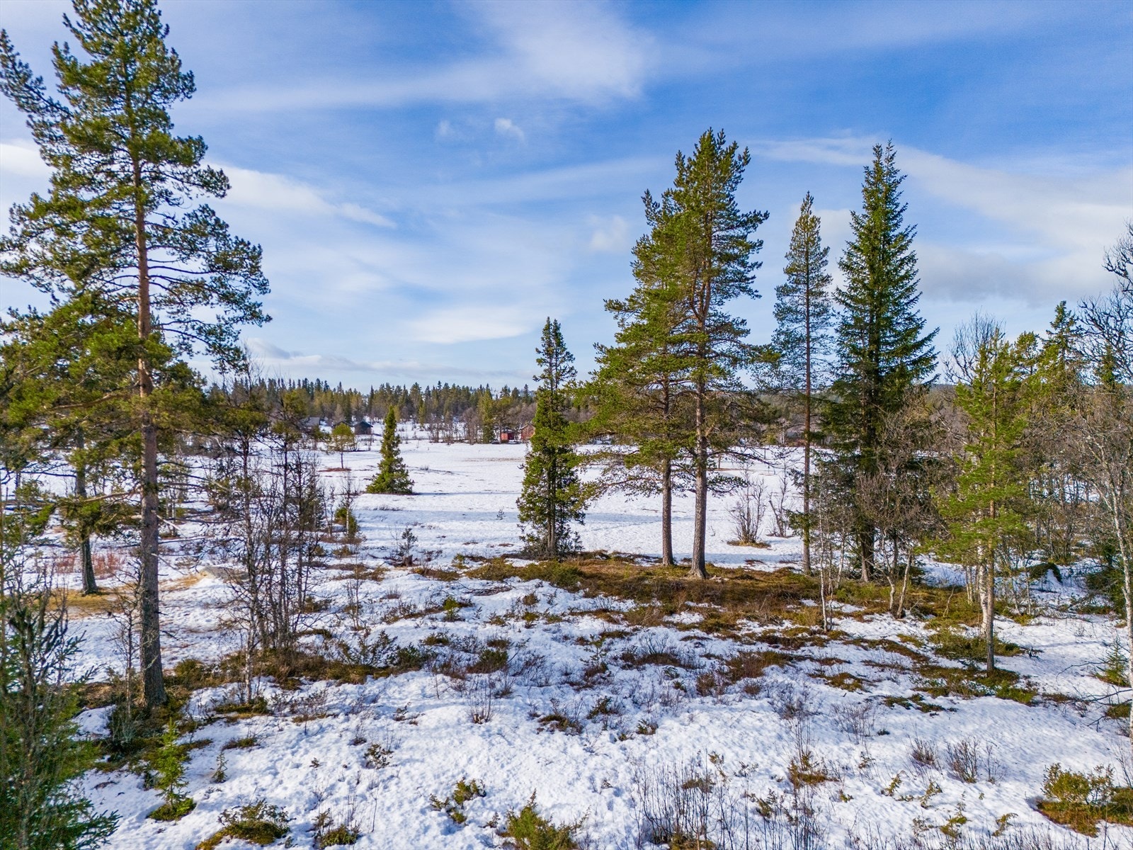 Utsikt fra verandaen. Galleribilde