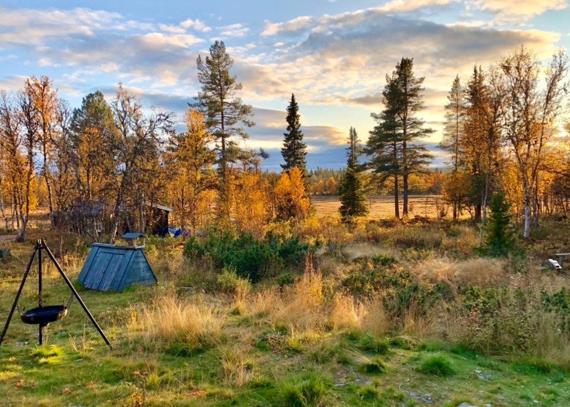 Selgers bilde fra en flott høstdag på fjellet! Galleribilde