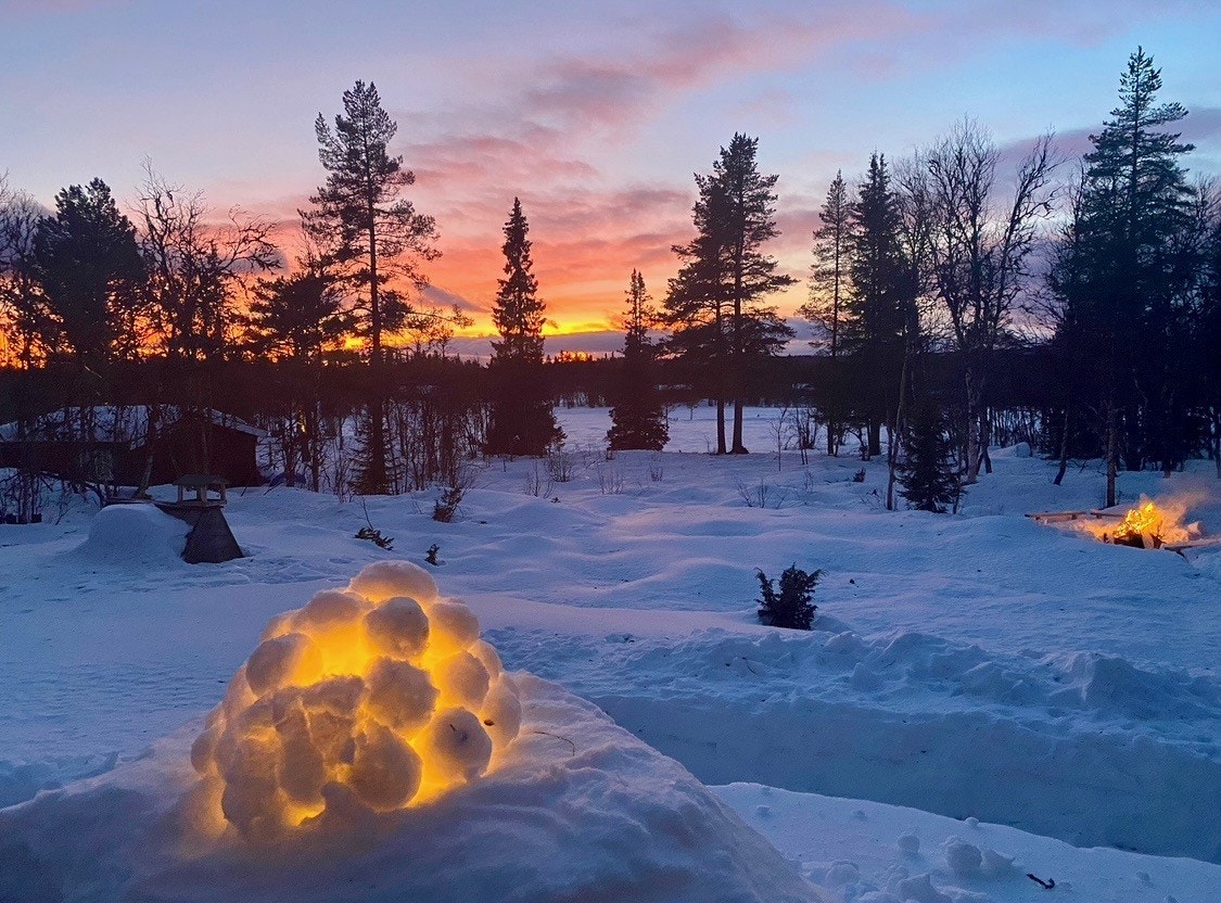 Selgers bilde. Galleribilde