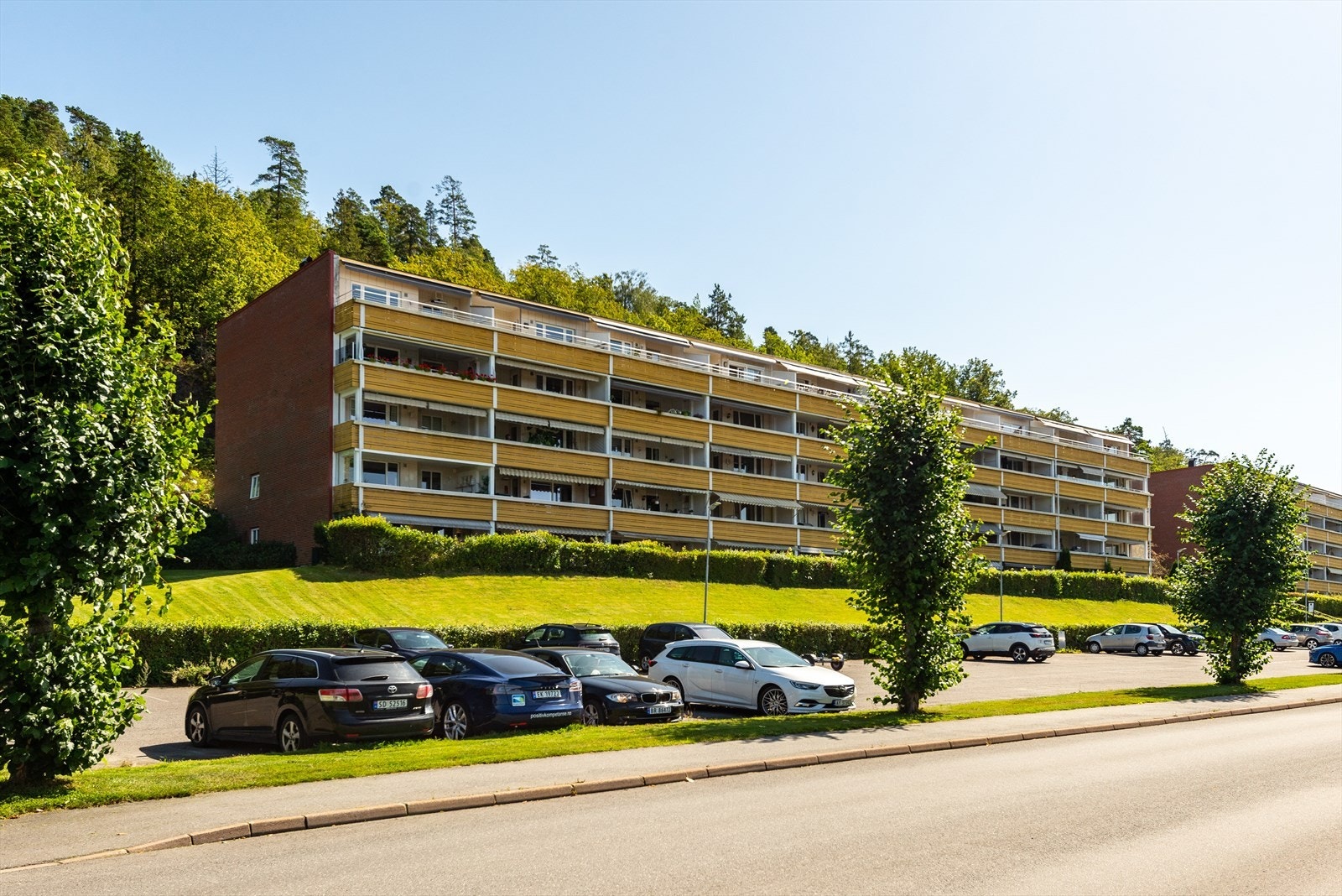 DSC_6387.jpg Galleribilde