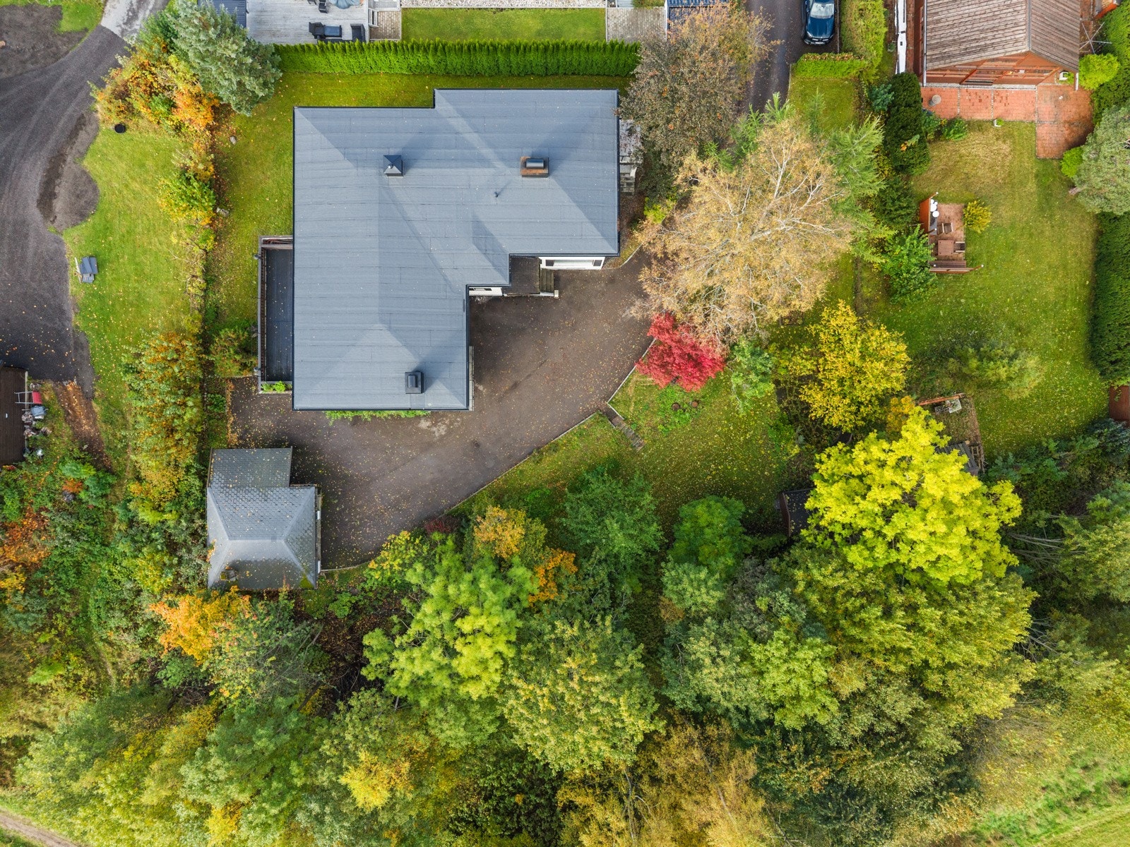 Flott, frodig tomt! Usjenert og solrikt! Galleribilde