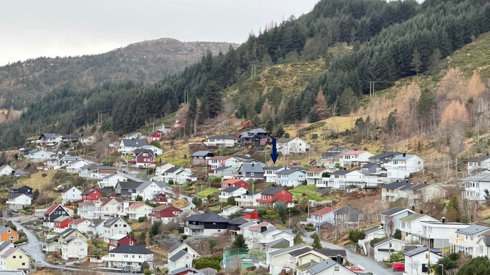 Områdebilde Galleribilde