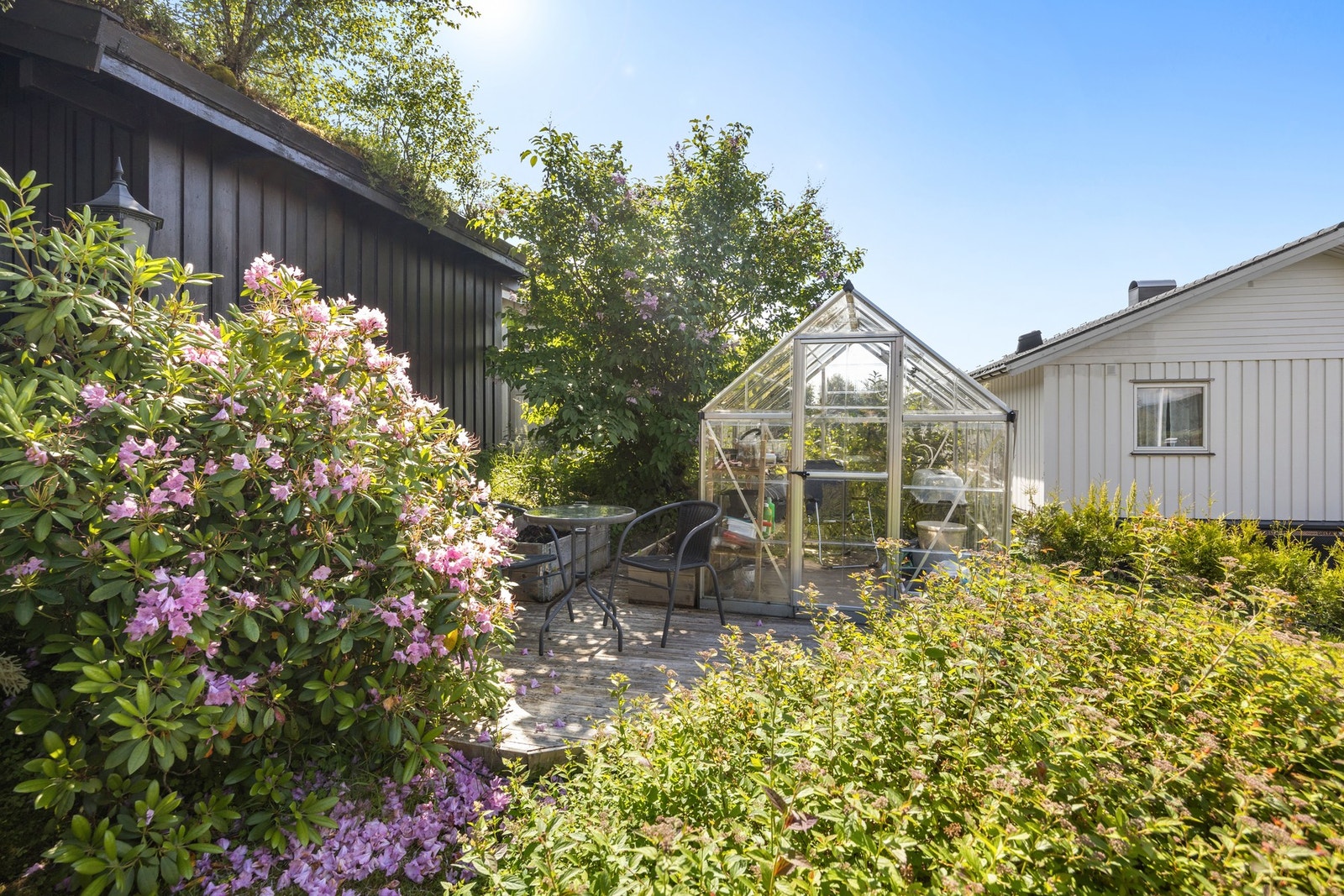 Det er drivhus og uthus i bakkanten av tomten Galleribilde