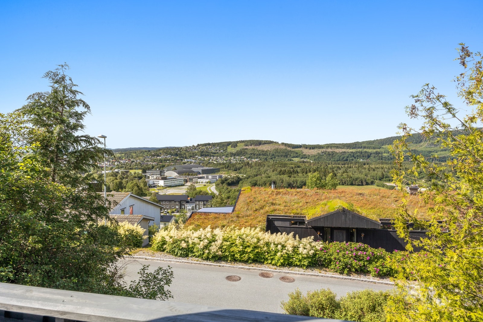 Vid utsikt! Galleribilde