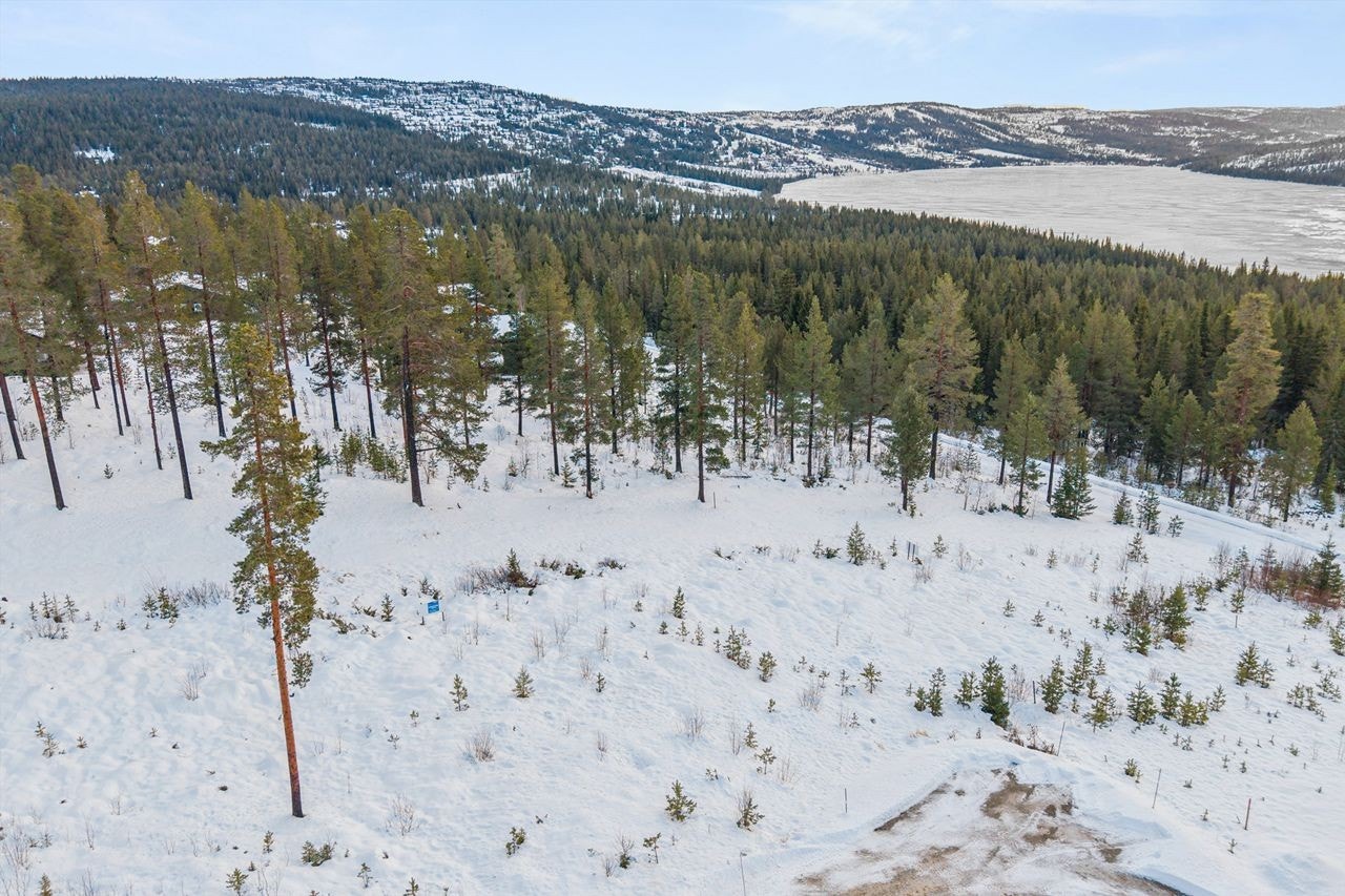 Området har også kort vei til alpinanlegg, noe som gjør dette til en base for ski- og vinterentusiaster. Galleribilde
