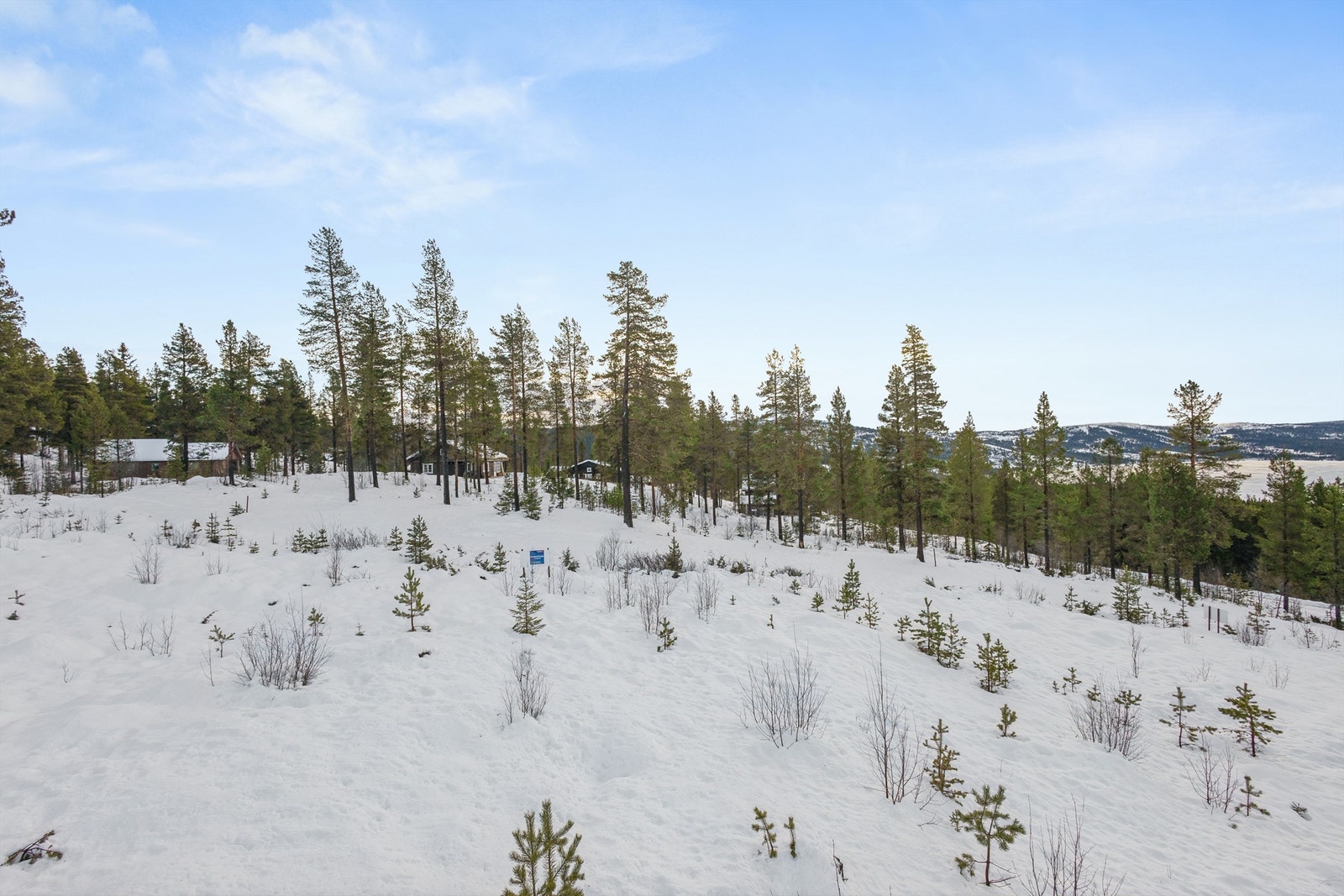 Vinterstid forvandles landskapet til et skiparadis med milevis av preparerte langrennsløyper. Galleribilde