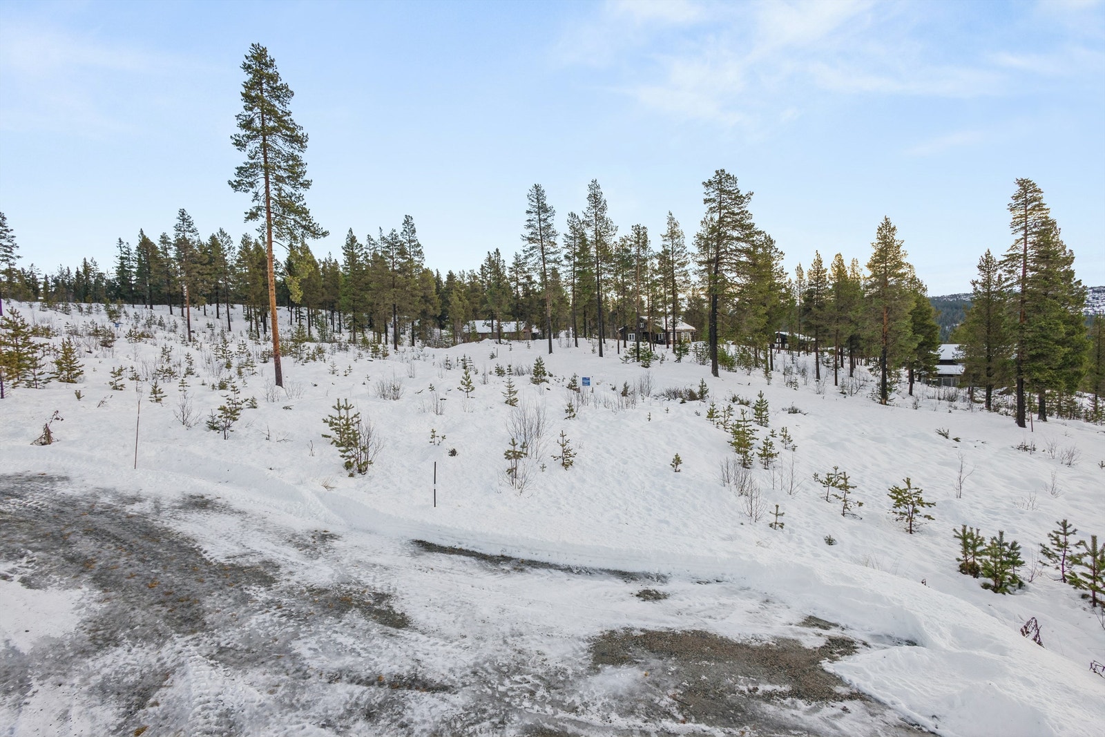 Bebyggelsen skal tilpasses terrenget og utføres i naturvennlige materialer med saltak. Galleribilde