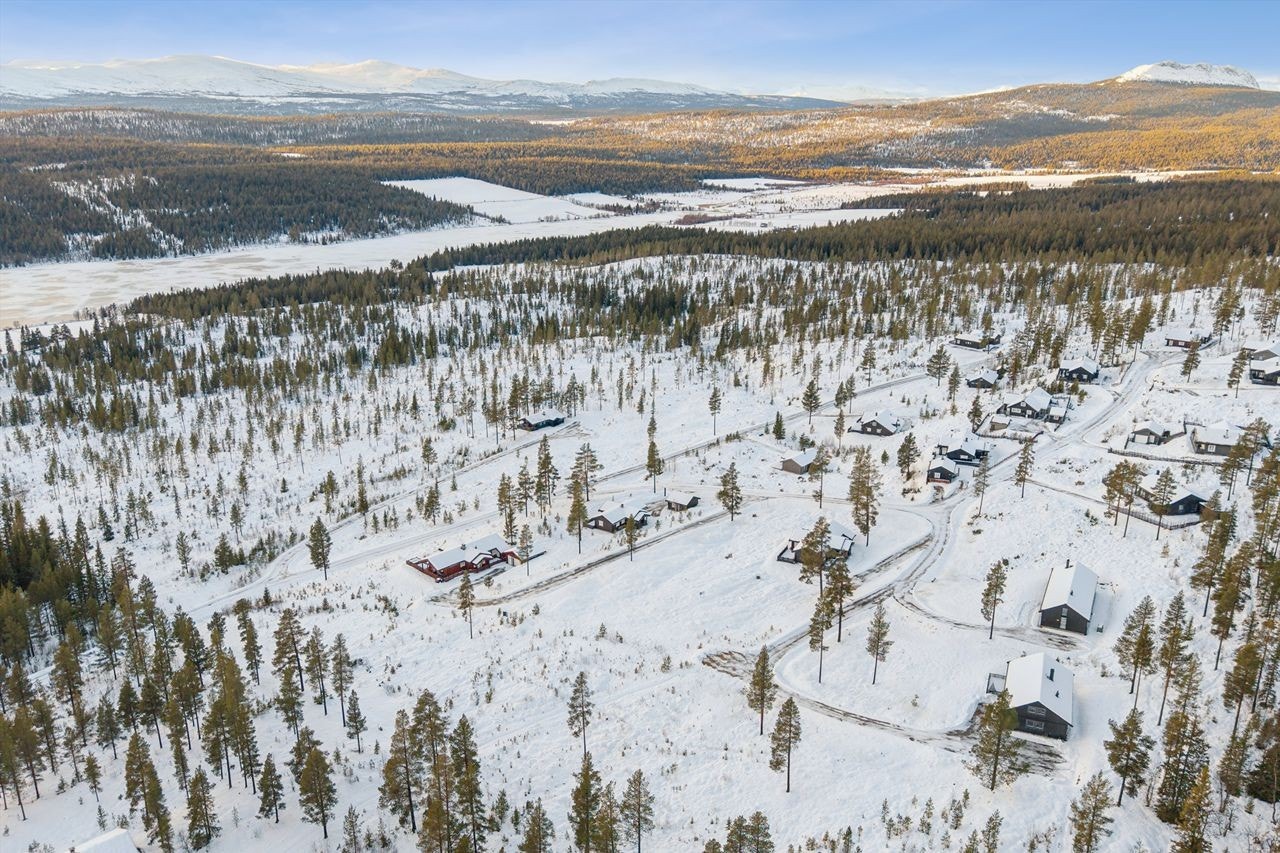 Gålå er ikke bare natur, men også et levende lokalsamfunn med et rikt kulturtilbud. Galleribilde