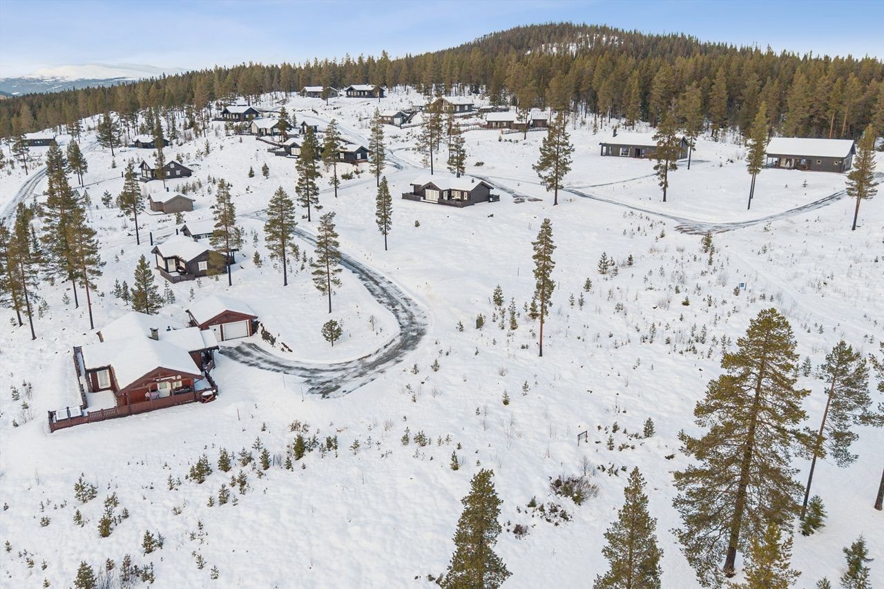 Hver sommer arrangeres det anerkjente Peer Gynt-spelet ved Gålåvatnet, en utendørsforestilling i storslåtte omgivelser. Galleribilde