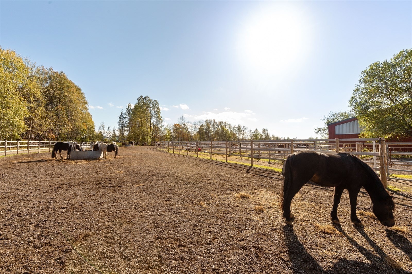 Like ved Stovner senteret finner man også Øvre Fossum gård som har rideskole for både nybegynnere og drevne ryttere. Galleribilde