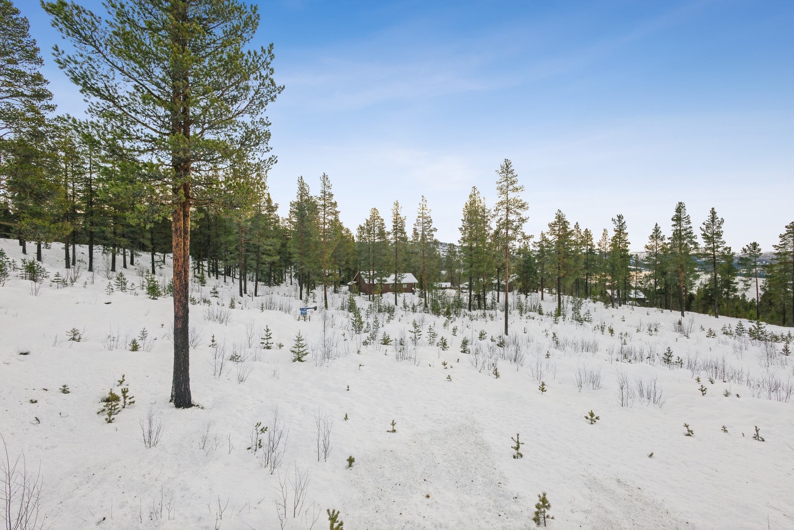 Selveiertomt med god plass til å utforme både hytte og uteområde etter egne ønsker. Galleribilde