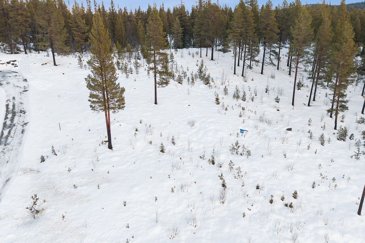 Tomtens plassering i det lett skrånende terrenget gir gode muligheter for utforming. Galleribilde