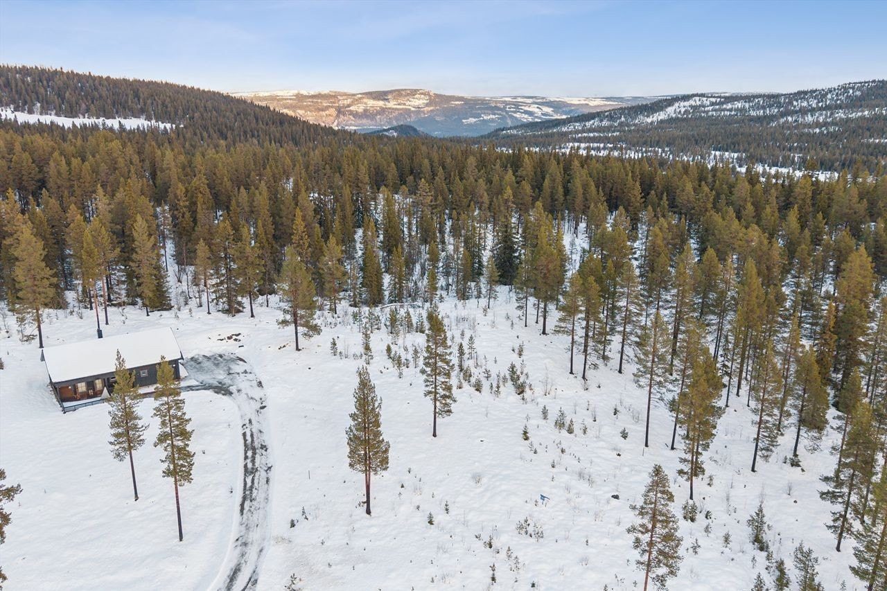 Eiendommen er plassert i landskapet med skog og natur som nærmeste nabo. Galleribilde