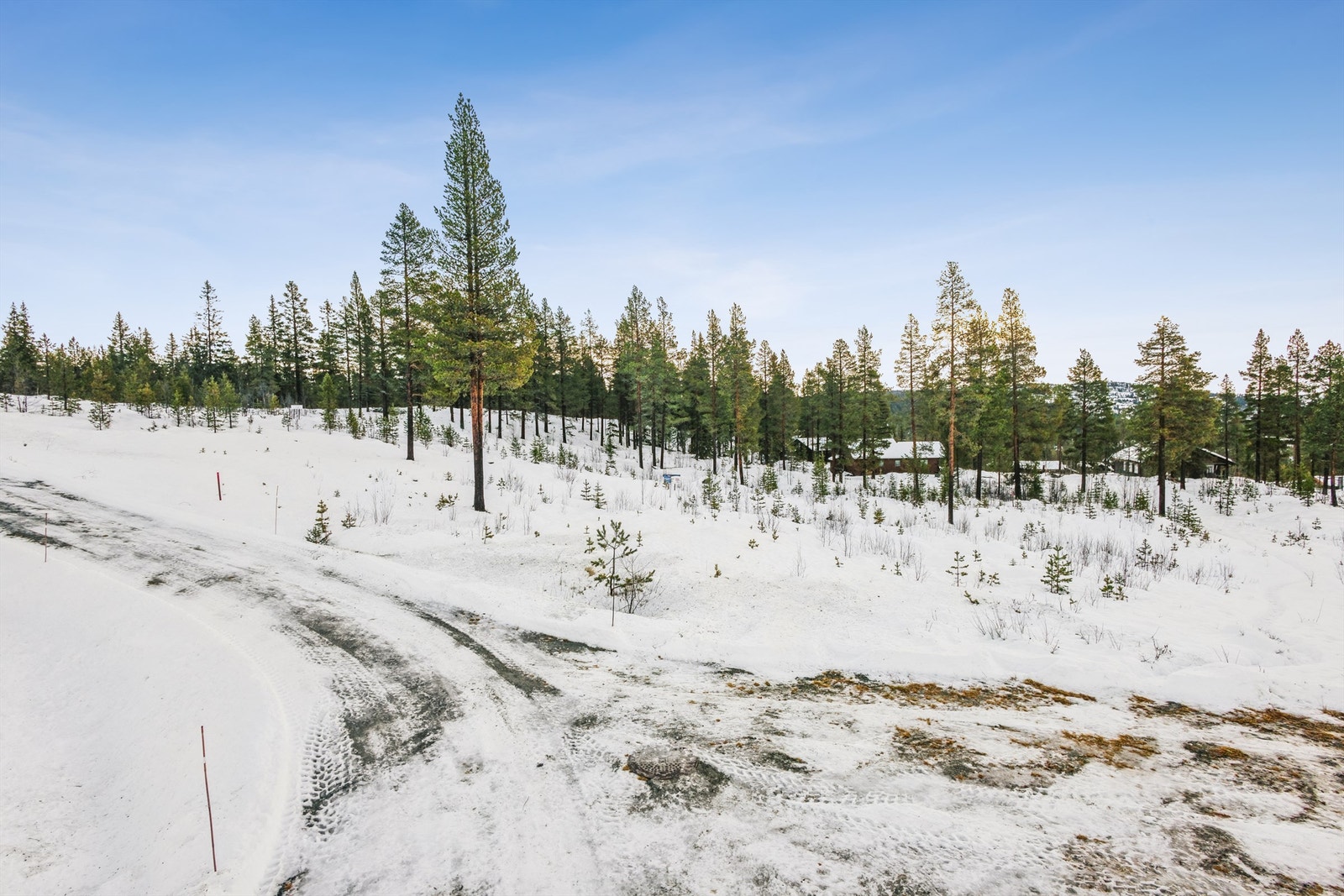 Området byr på umiddelbar tilgang til et vidstrakt turterreng, sommer som vinter. Galleribilde