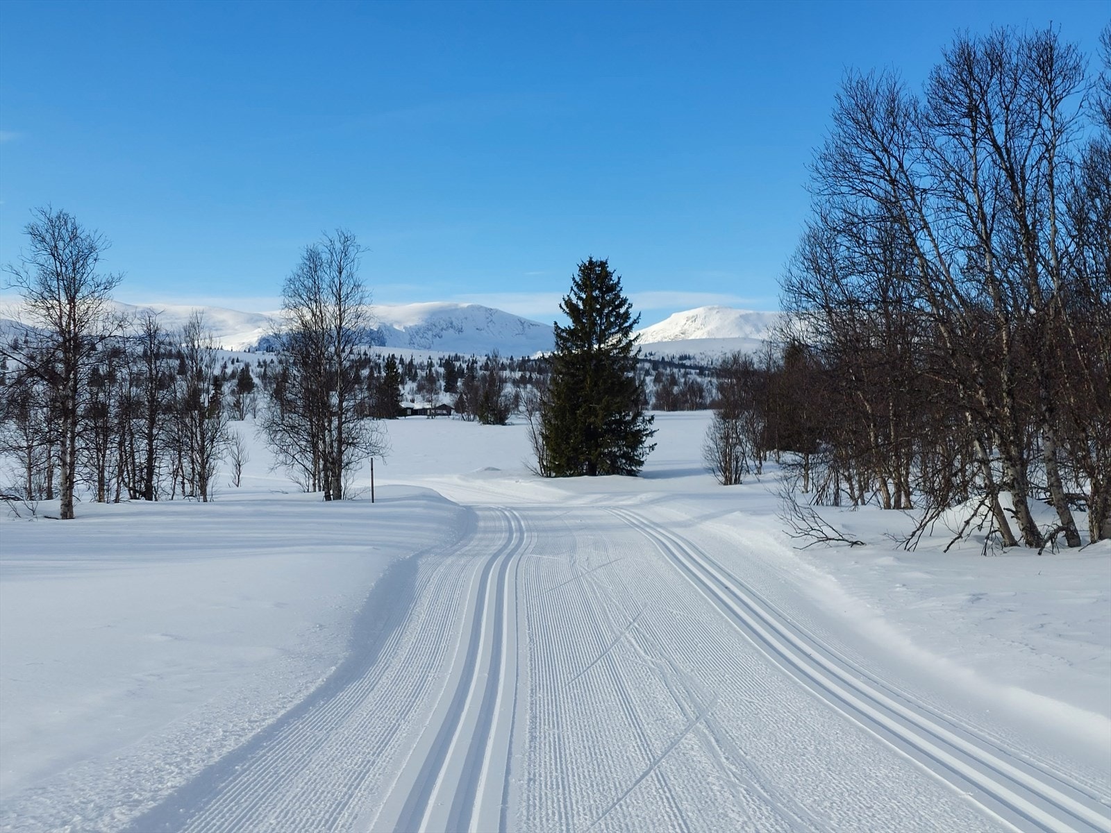 Området kan by på milevis med flotte, oppkjørte skiløyper. (Selgers foto) Galleribilde
