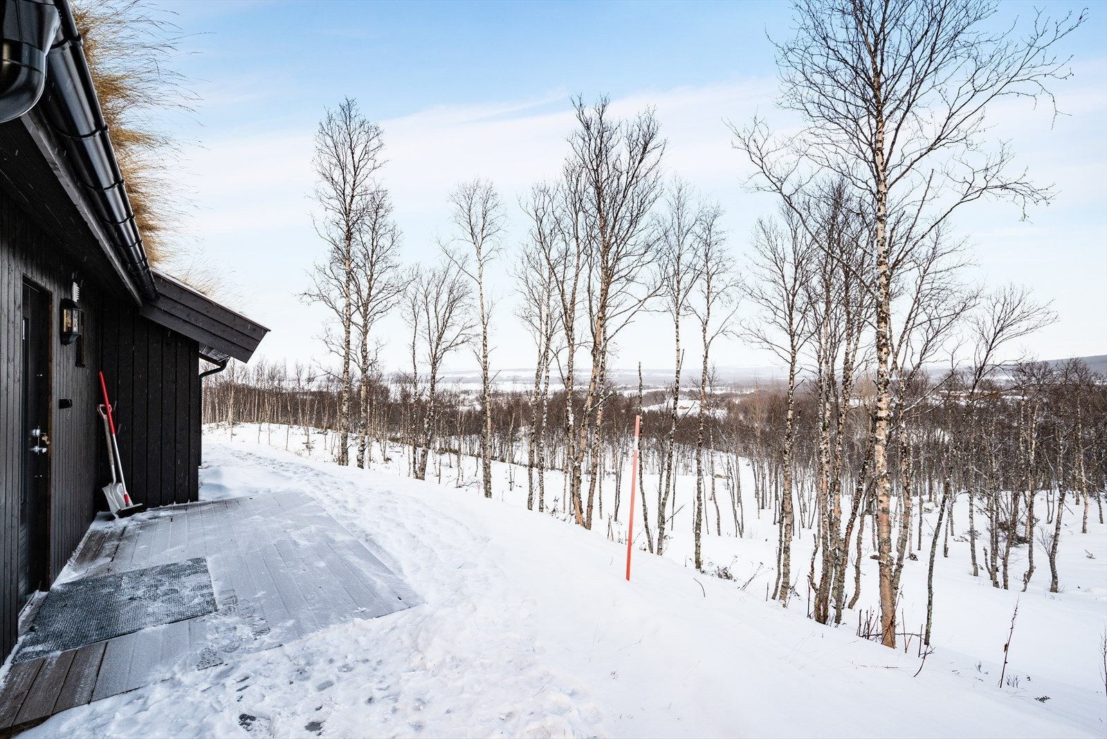 Inngangsparti. Galleribilde