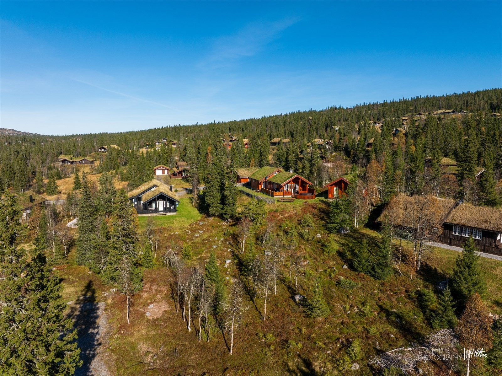 Tomten foran hytta tilhører eiendommen Galleribilde