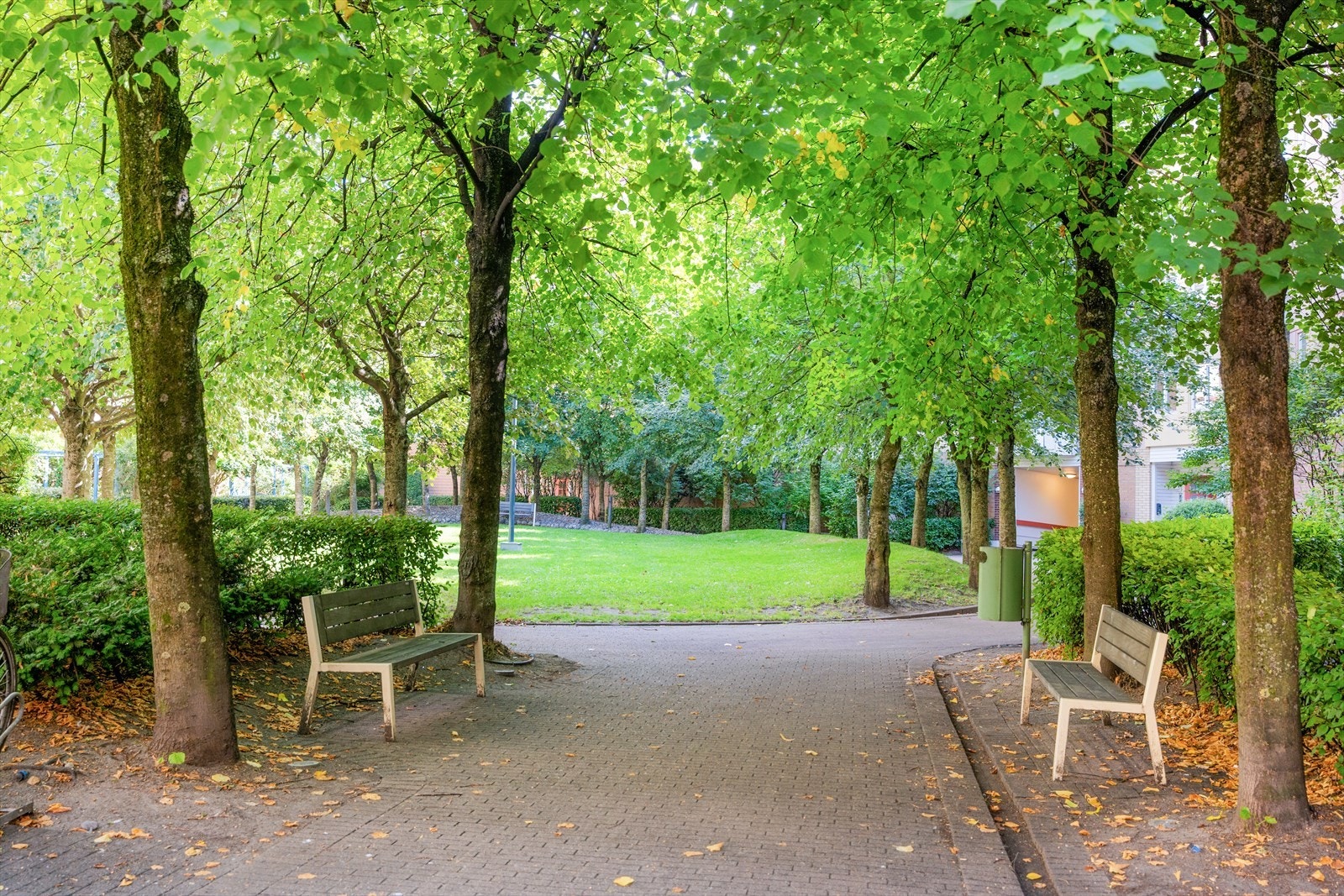 Stor lukket bakgård med felles sitteplasser og grill. Galleribilde