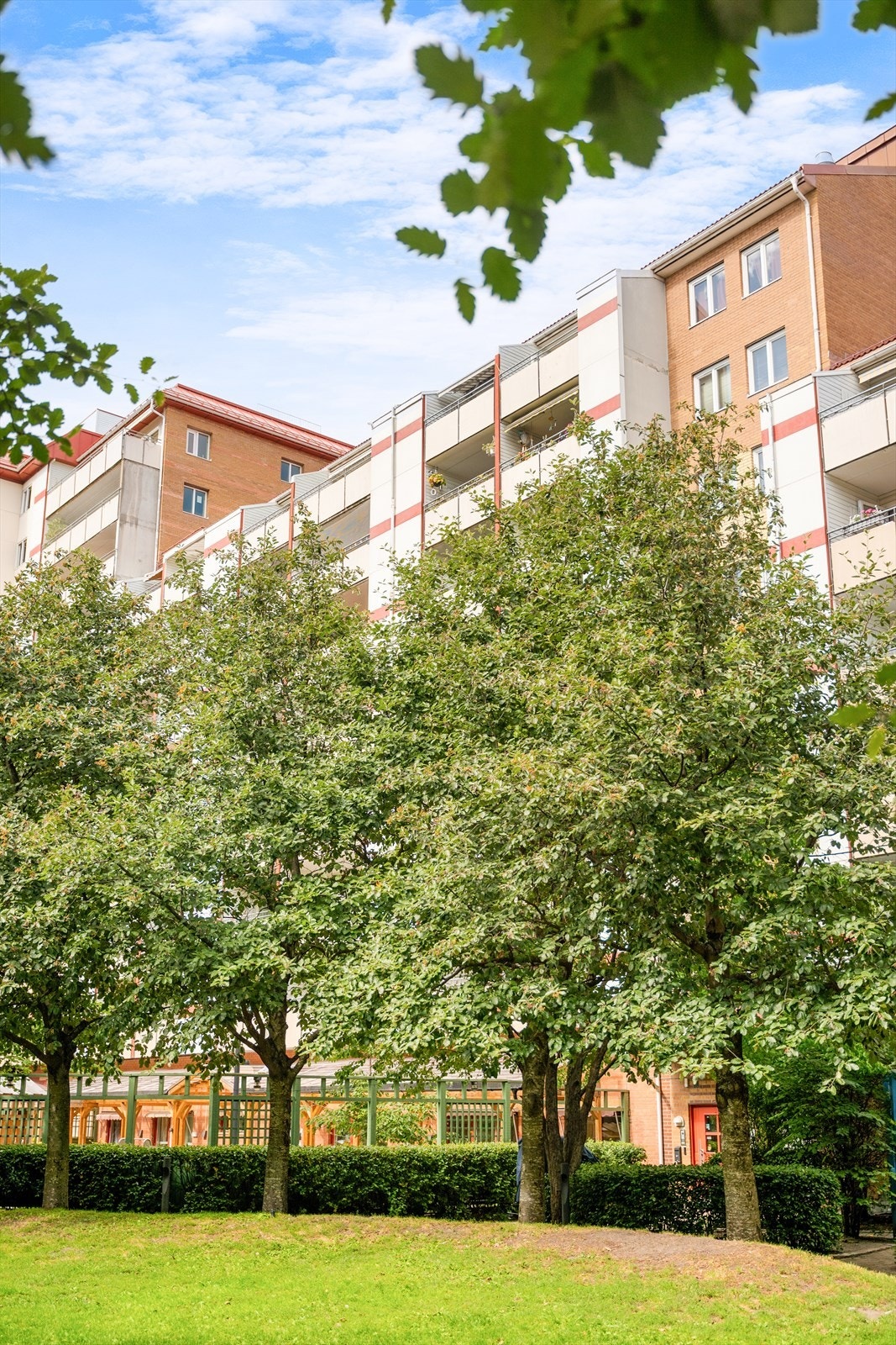 Bakgård. Galleribilde