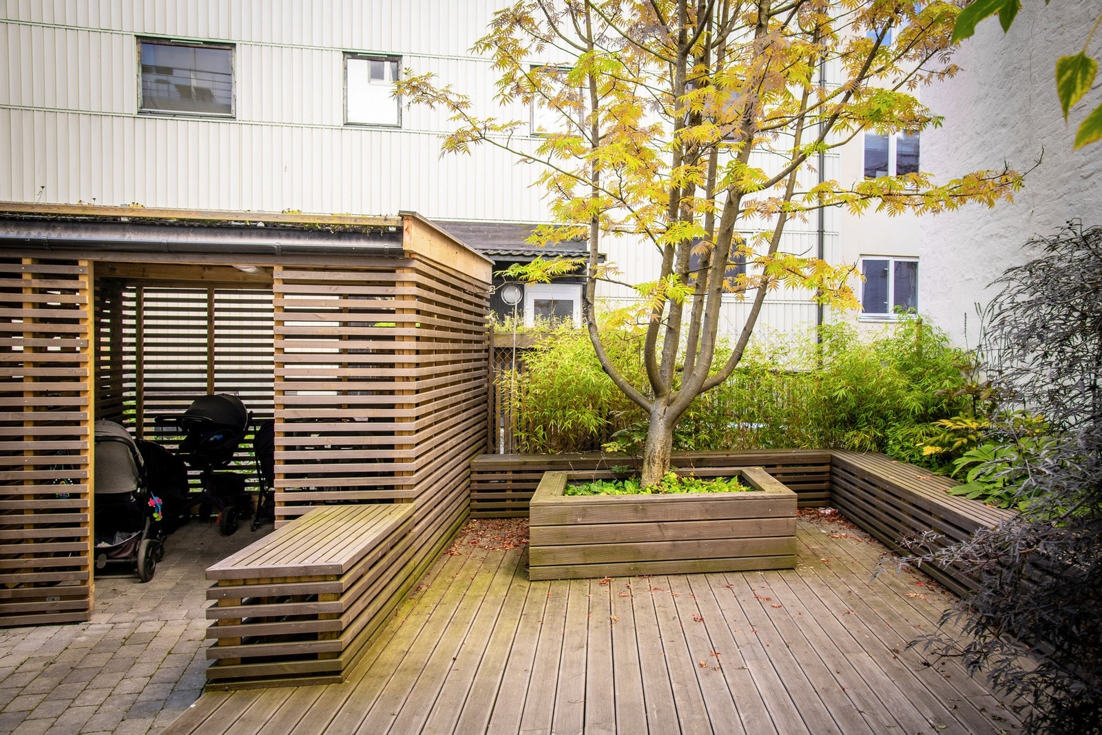 Pent oppbygget bakgård med søppel og sykkelskur. Galleribilde