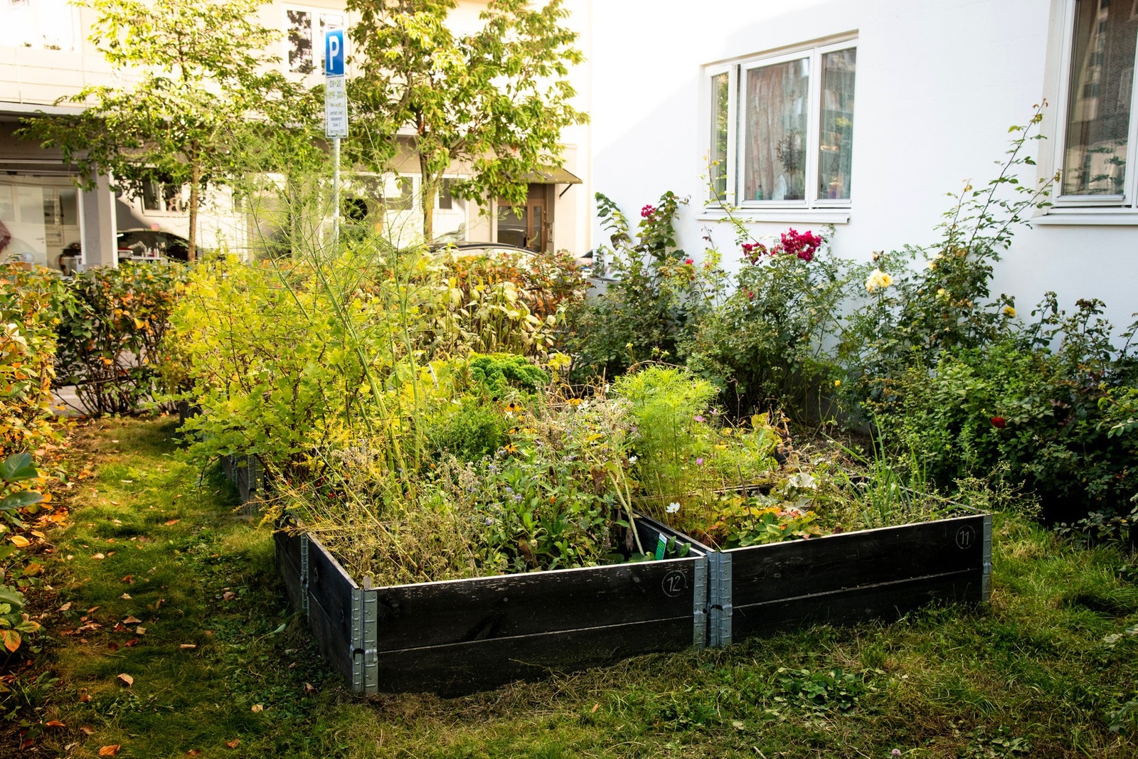 Som beboer har man mulighet til å leie plantekasser etter liste som står i hagen. Galleribilde