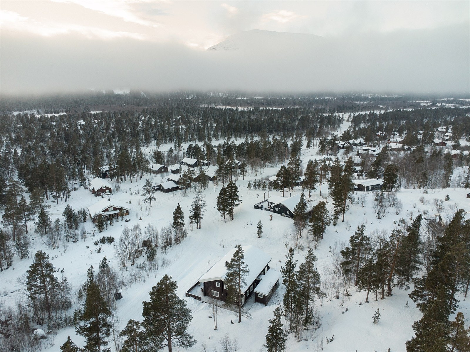 Dronebilde av hytten og nærområdet Galleribilde
