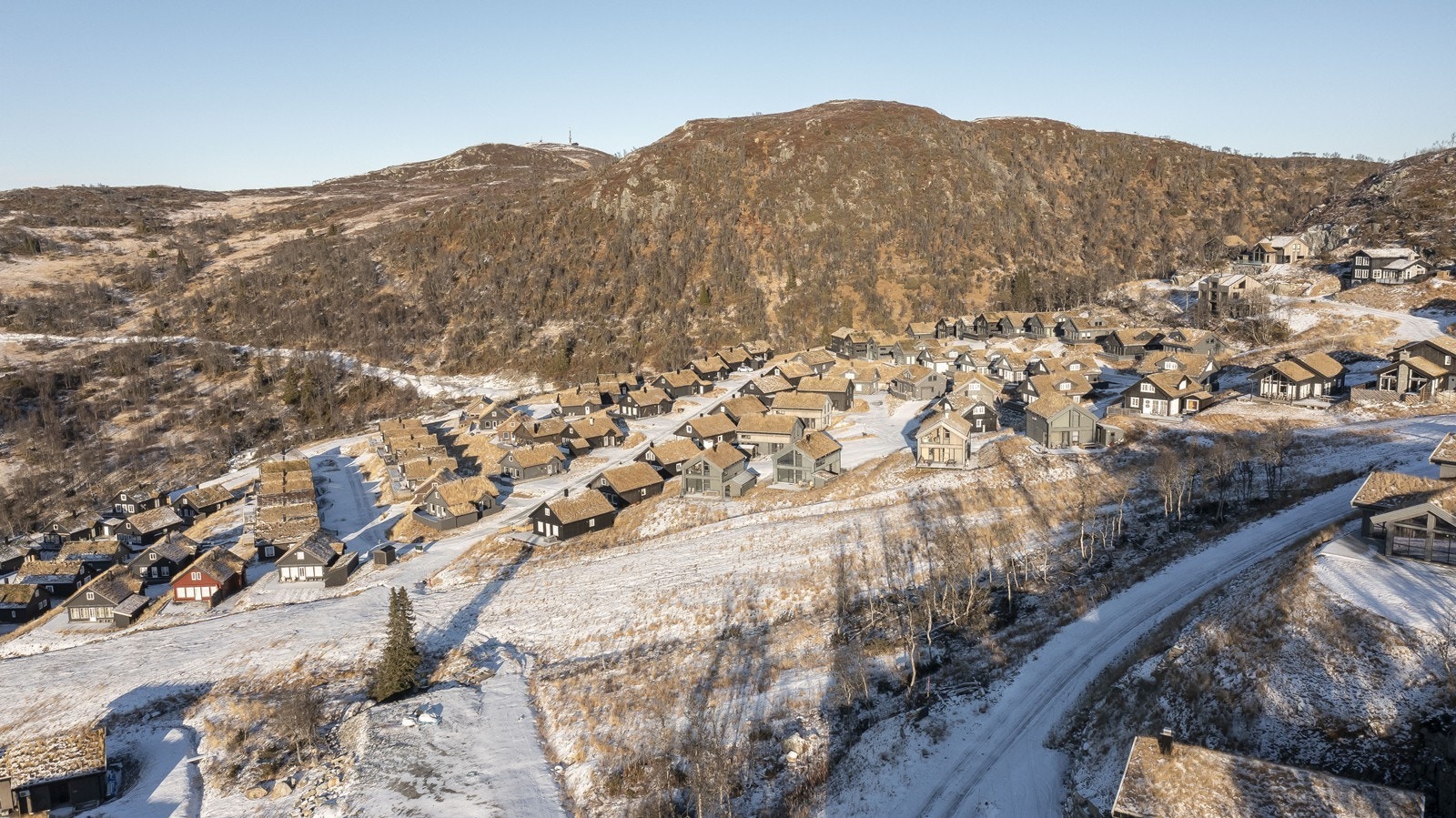 Fugleleiken_013 Galleribilde