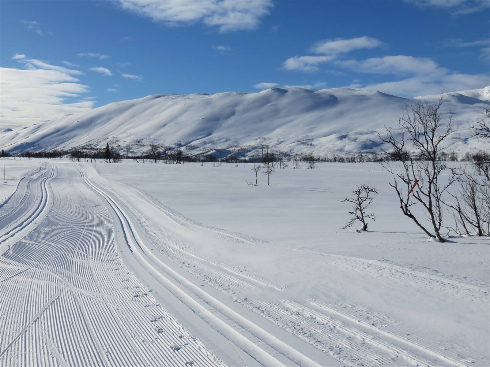 Raulandsfjella! Galleribilde