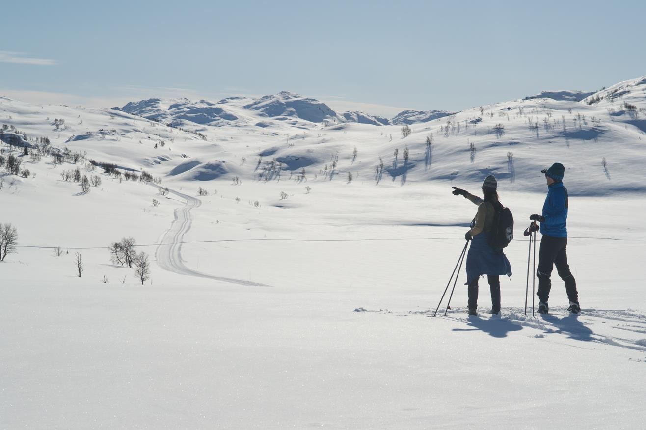 Silkedalen!?? Galleribilde