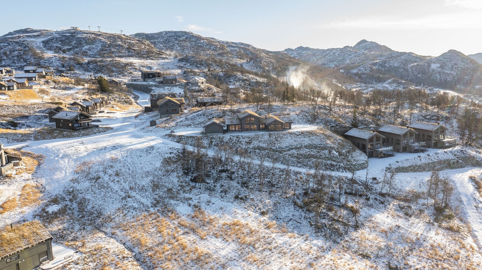 Fugleleiken Galleribilde