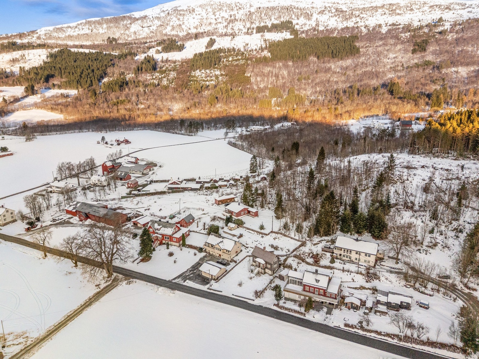 Flotte naturlige omgivelser rett utenfor døren! Galleribilde