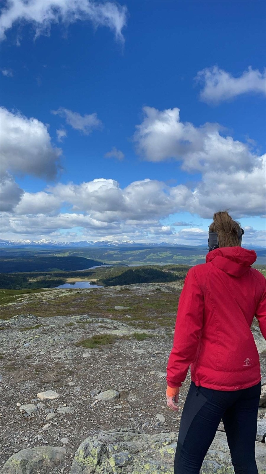 Bjødalskampen, Ølnesseterfjellet, Fiskebufjellet, Meitebekken, Hollastølfjellet, Nystølstinden, Makalausfjellet og Langeberg, er alle er vakre turmål med nydelig utsikt. Galleribilde
